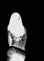 Let us guide you to our escort sites
